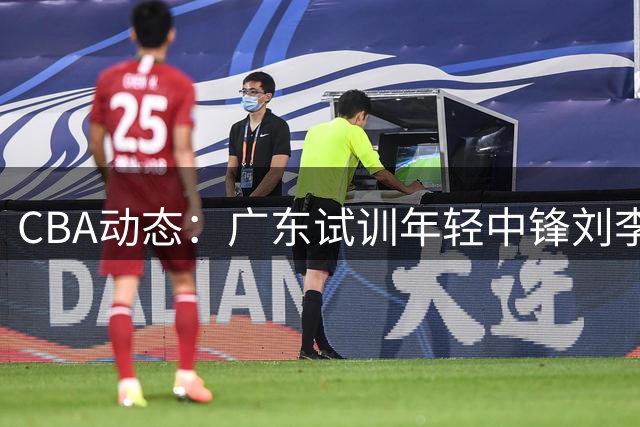 CBA动态：广东试训年轻中锋刘李 张镇麟获李宁代言 两俱乐部股权冻结